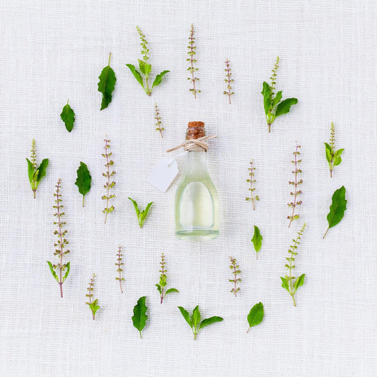 How to Choose a Parasite Cleanse: Factors to Consider