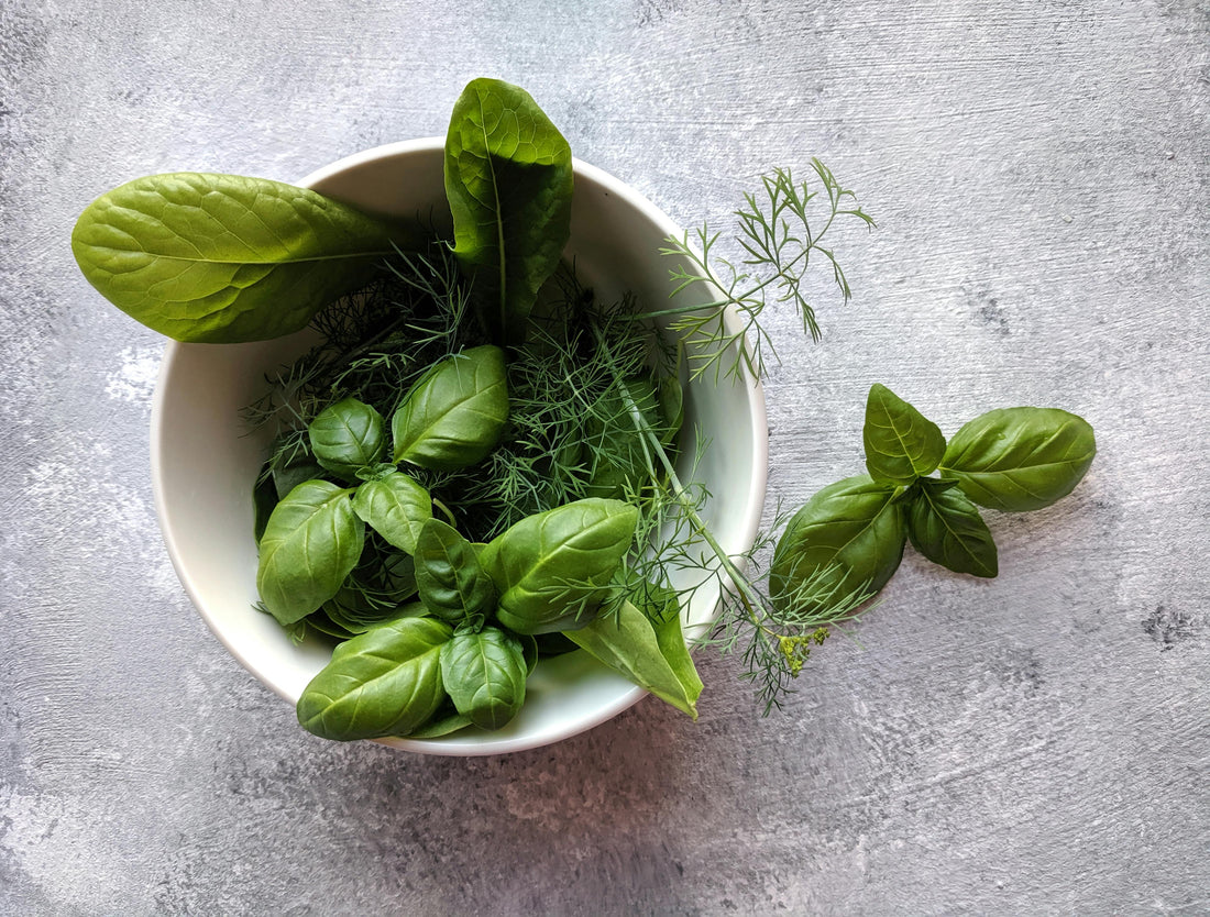 Functional Parasite Protocols: Diet, Binders, and Herbs
