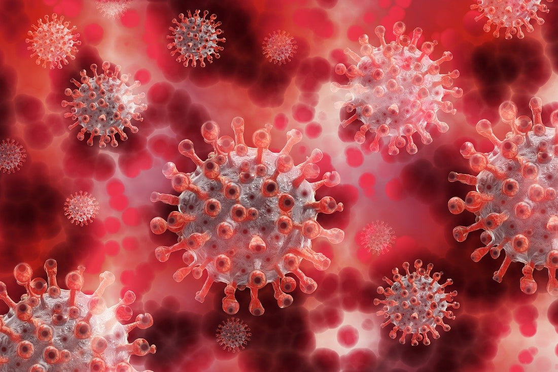 Parasite Cleanse Side Effects