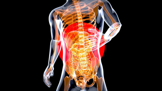 Is a Parasite Cleanse Good for Your Gut Health?