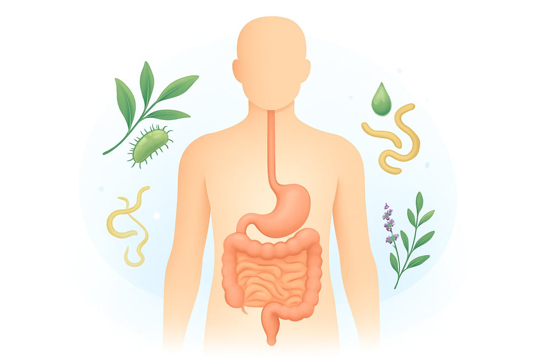 Parasite Cleanse: Essential Steps for a Healthier Gut